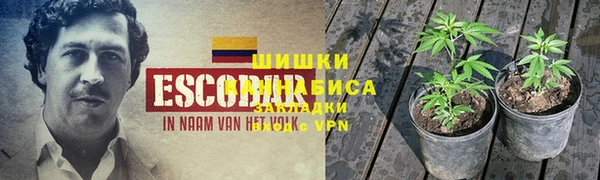 дмт Арсеньев