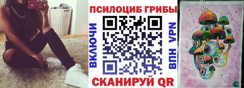 где найти наркотики  Белинский  Псилоцибиновые грибы мицелий 